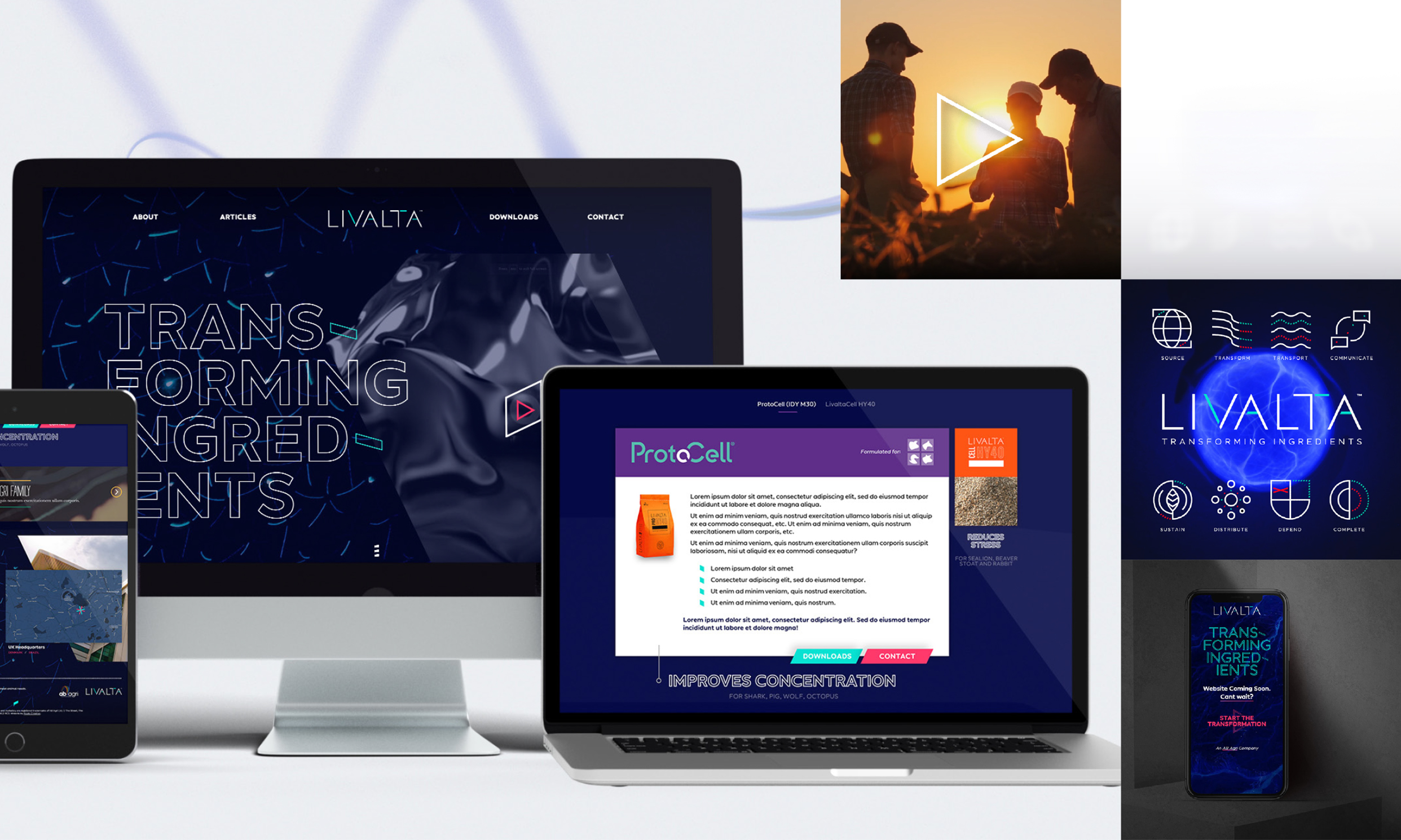 Livalta brand identity and product packaging