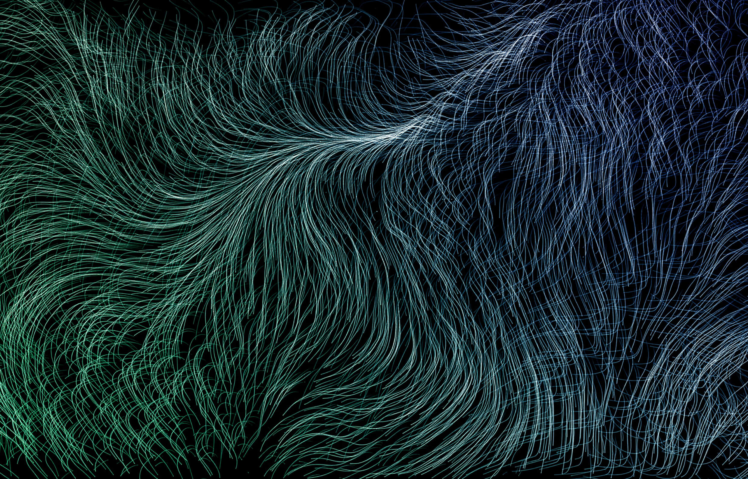 Livalta brand identity and product packaging