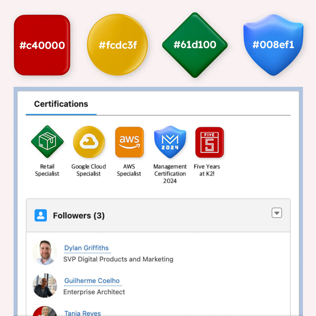 Primary brand colors